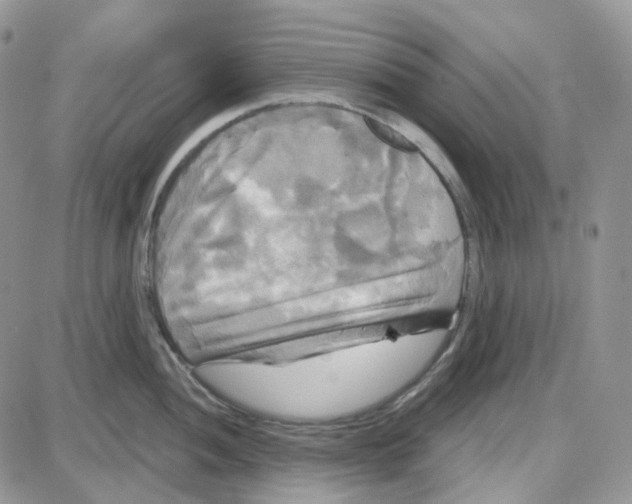 X0000087631052200705241210