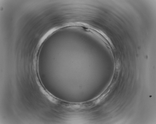 X0000087631054200705241210