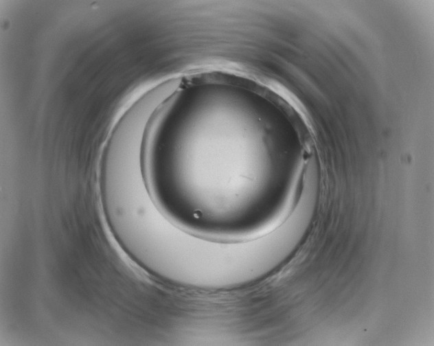 X0000087631055200705241210