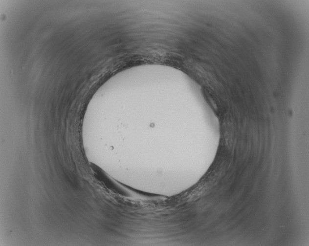 X0000087631057200705241209