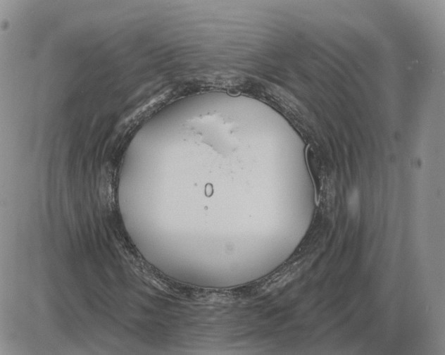 X0000087631058200705241209