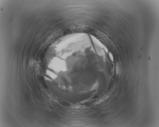 X0000087631059200705241209