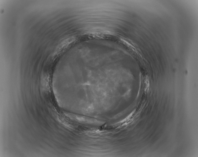 X0000087631060200705241209