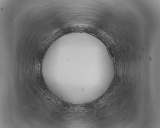 X0000087631061200705241209