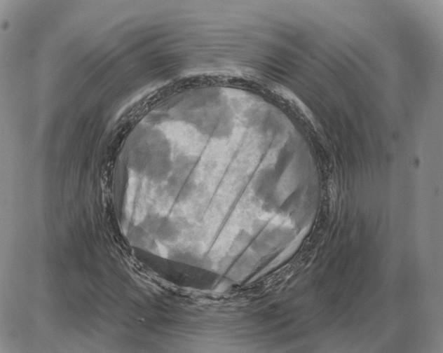 X0000087631064200705241209