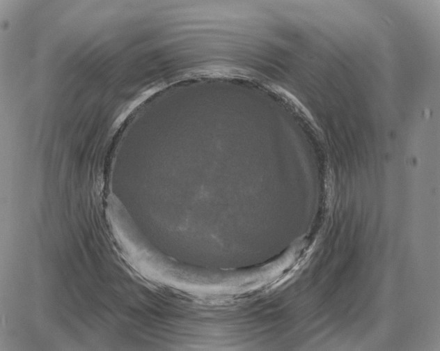 X0000087631065200705241209