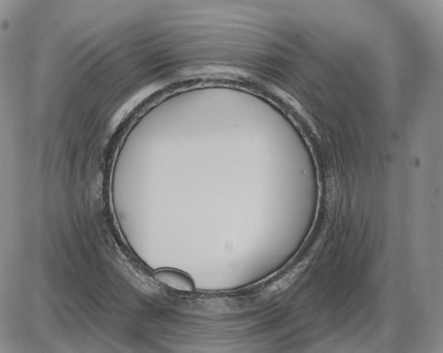 X0000087631066200705241209