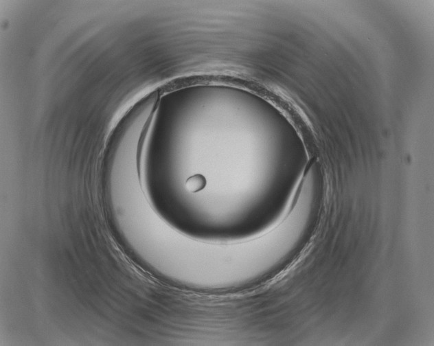 X0000087631069200705241209