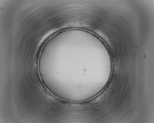 X0000087631070200705241209