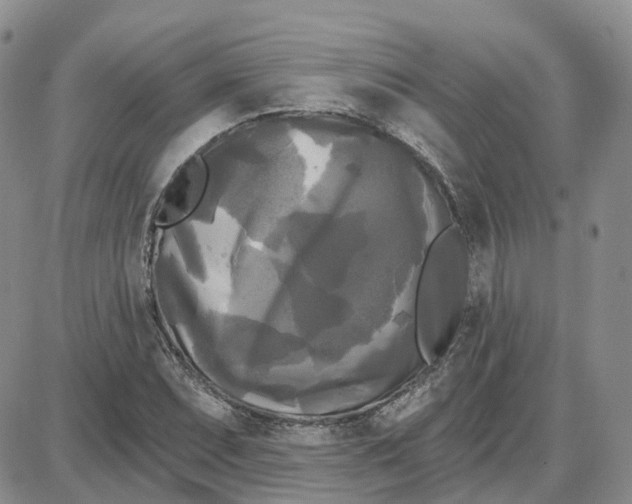 X0000087631071200705241209