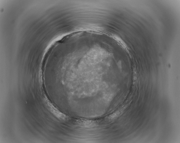 X0000087631072200705241209