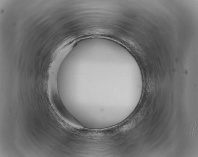 X0000087631073200705241209