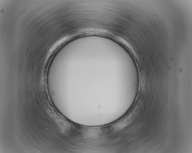 X0000087631074200705241209