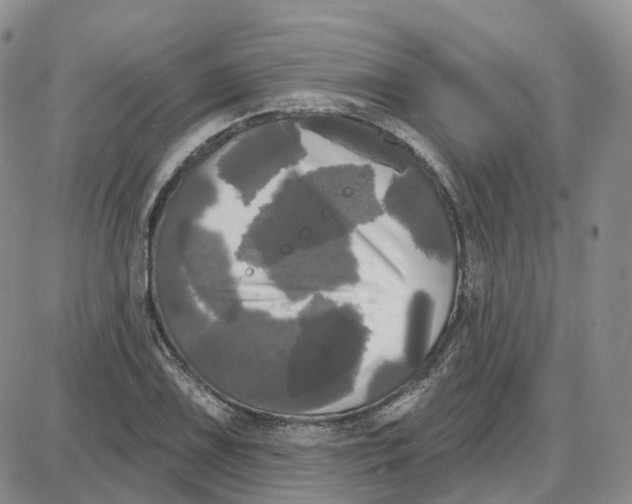 X0000087631075200705241209