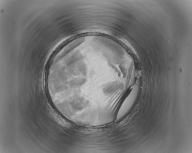 X0000087631076200705241209