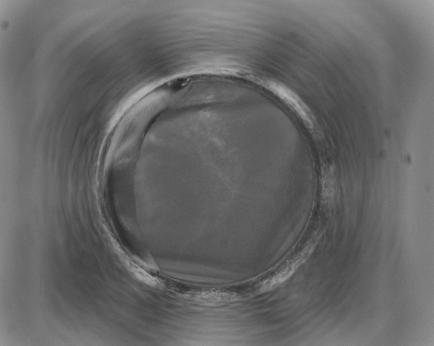 X0000087631077200705241209