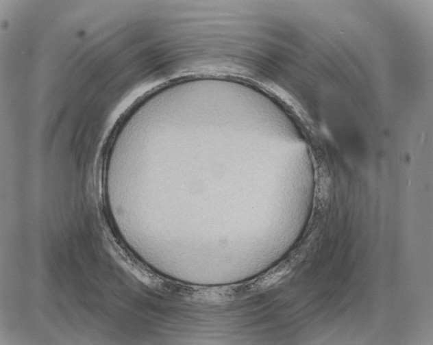 X0000087631078200705241209