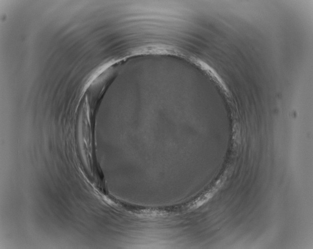 X0000087631081200705241209