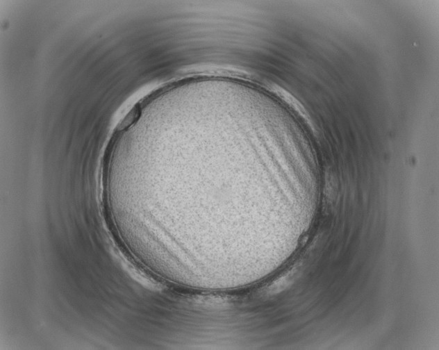 X0000087631082200705241209