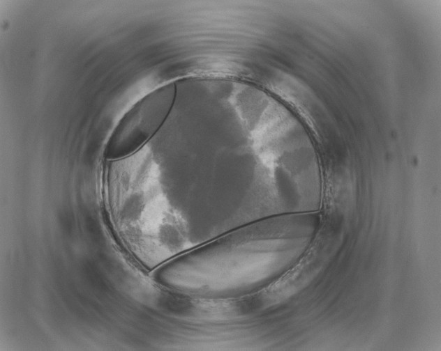 X0000087631083200705241209