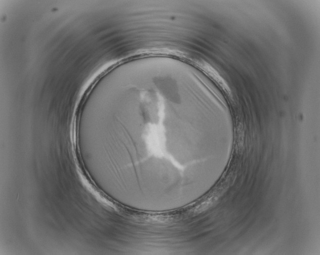 X0000087631084200705241209