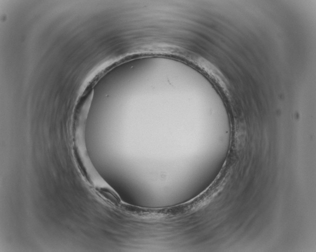 X0000087631085200705241209