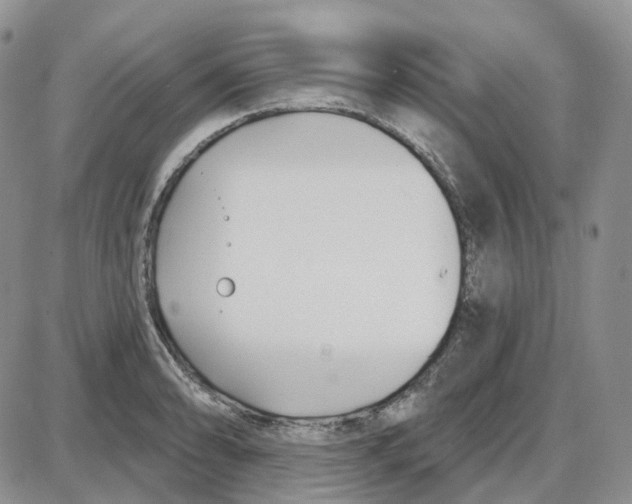 X0000087631086200705241209