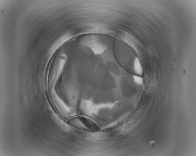 X0000087631087200705241209