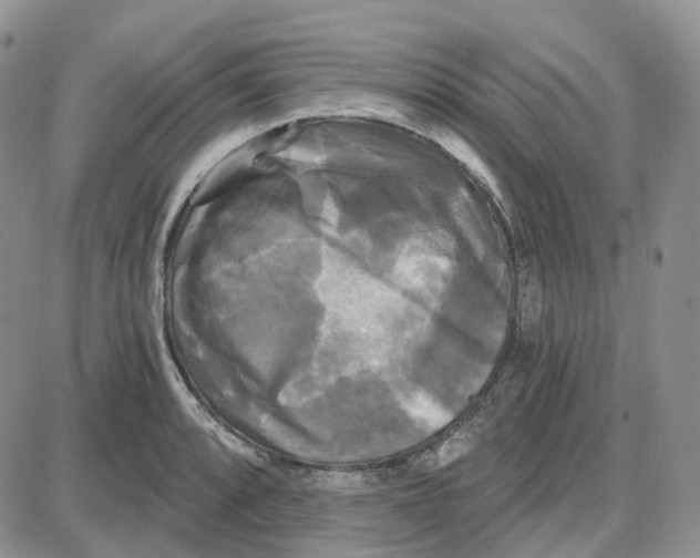 X0000087631088200705241209