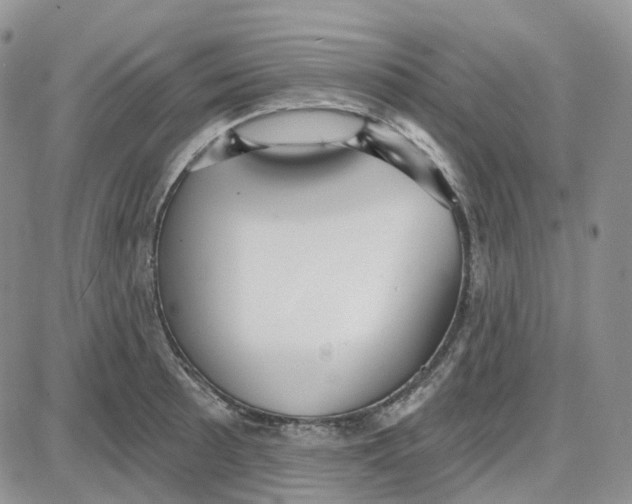 X0000087631089200705241209