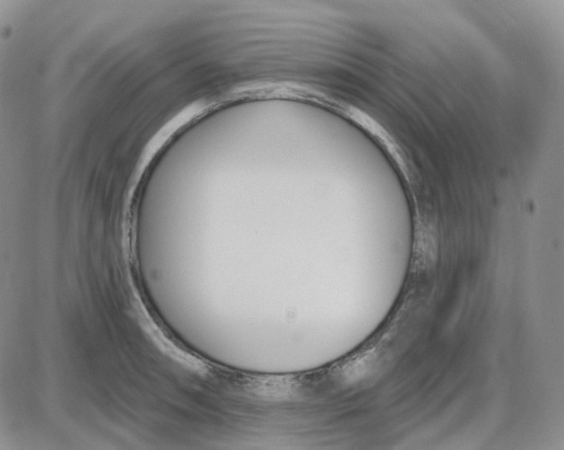 X0000087631090200705241209