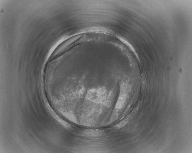 X0000087631091200705241209