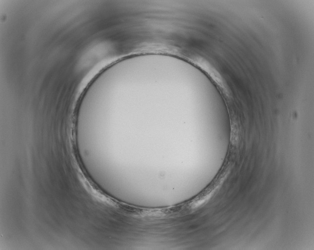 X0000087631094200705241209