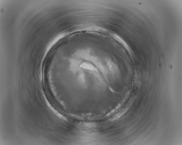 X0000087631095200705241209