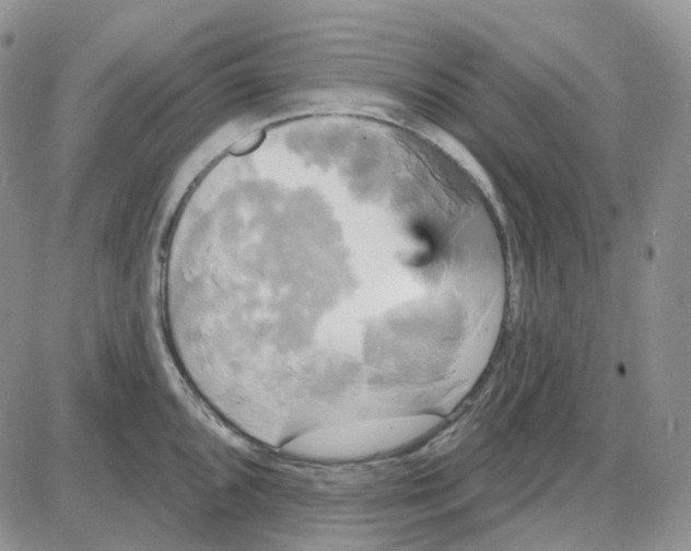 X0000087631096200705241209