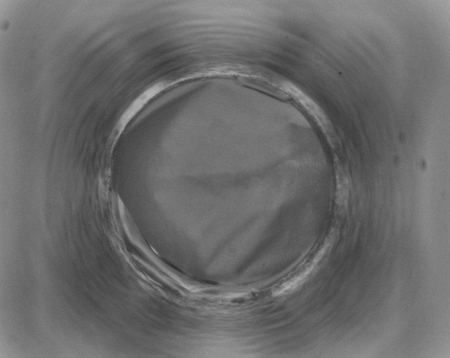 X0000087631097200705241209