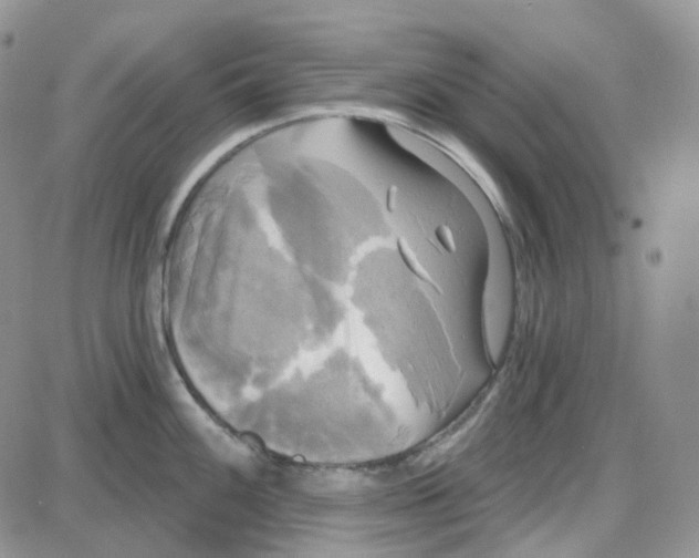 X0000087631100200705241209