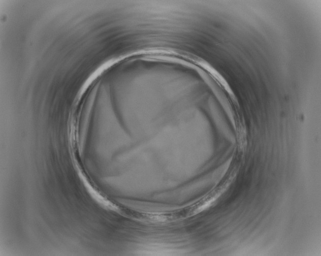 X0000087631101200705241209