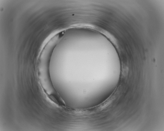 X0000087631102200705241208