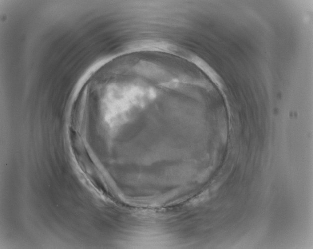 X0000087631104200705241208