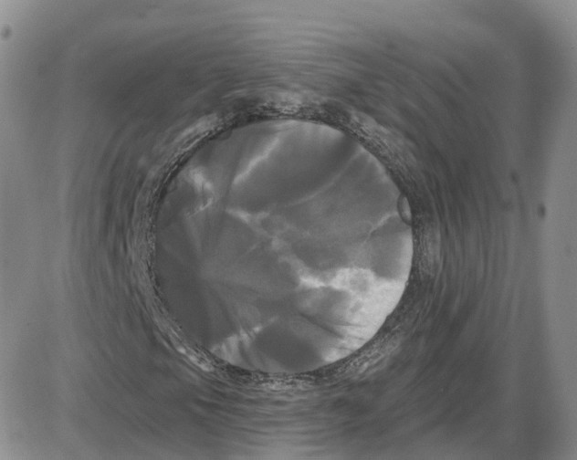 X0000087631105200705241208