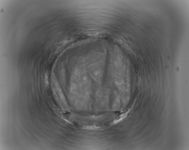 X0000087631106200705241208