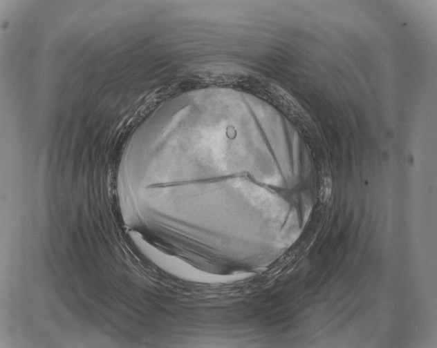 X0000087631108200705241208