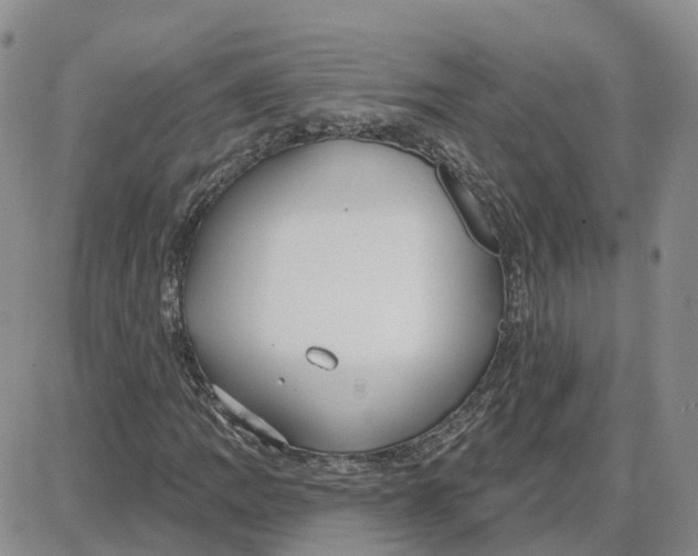 X0000087631109200705241208