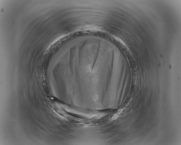 X0000087631112200705241208