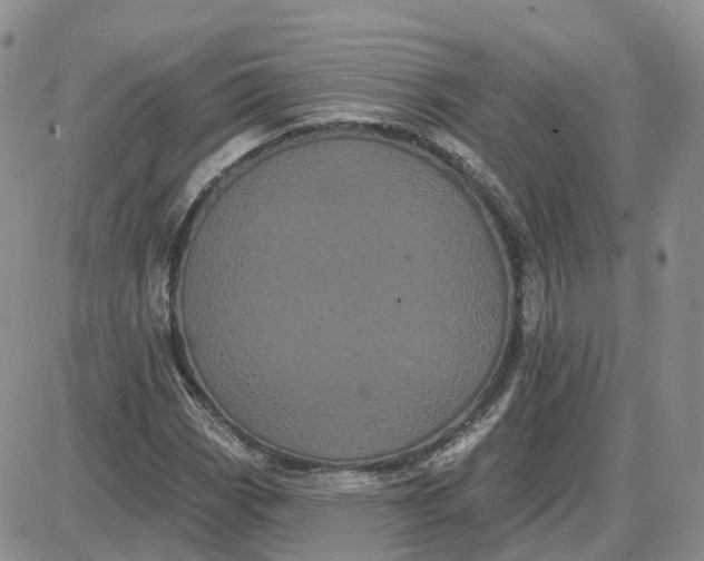 X0000087631113200705241208