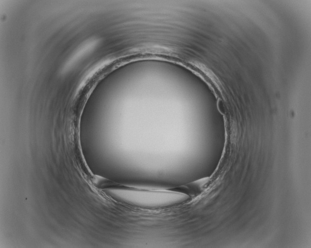 X0000087631115200705241208