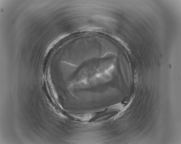 X0000087631117200705241208