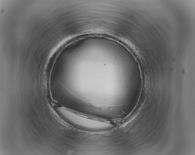 X0000087631118200705241208