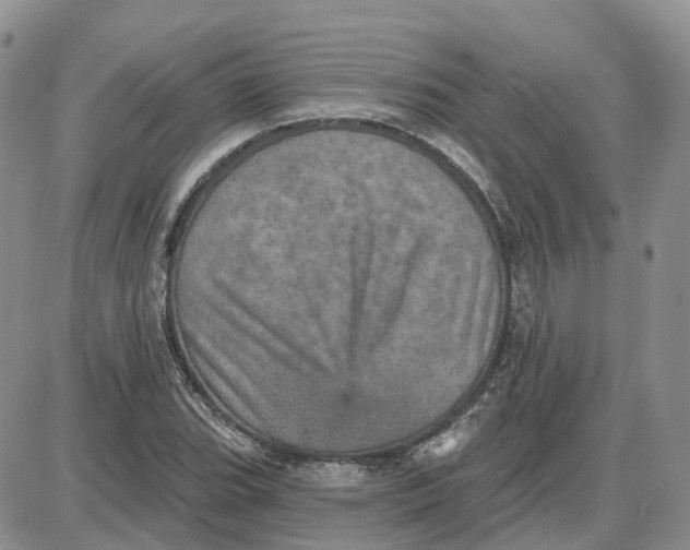 X0000087631119200705241208